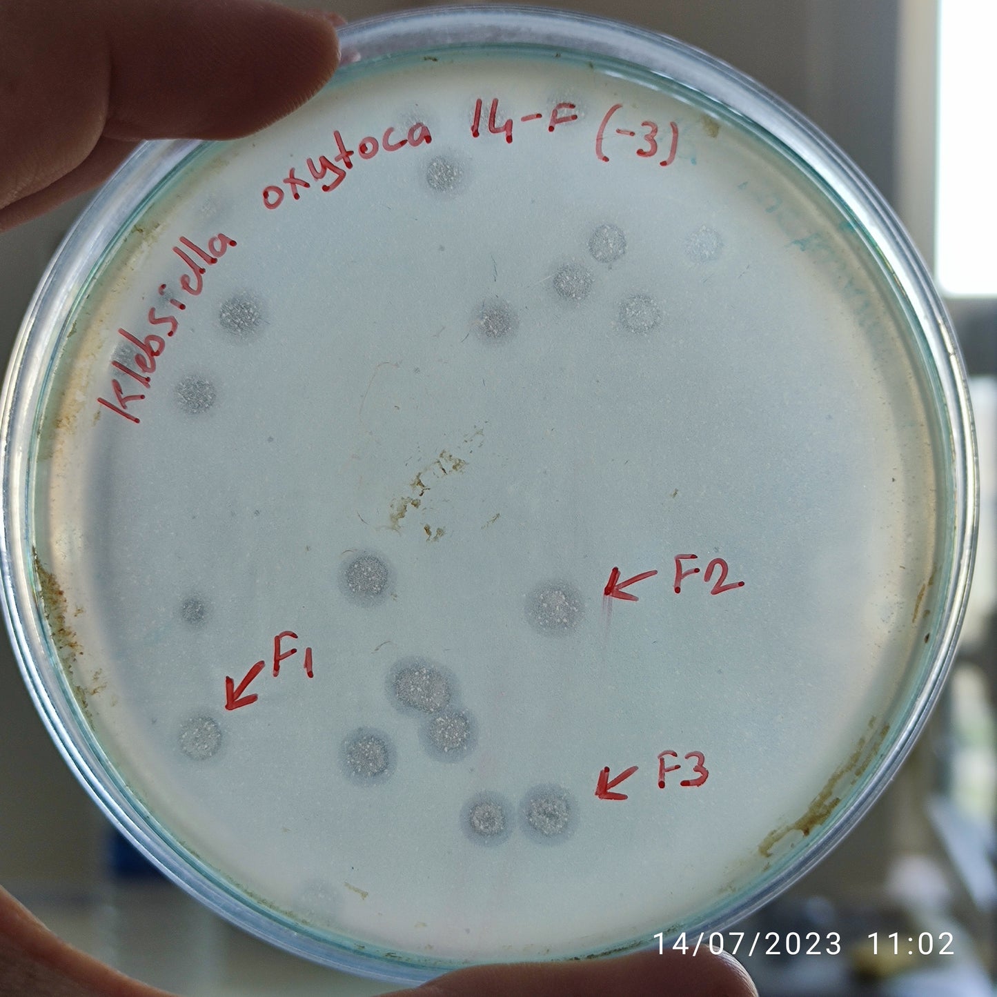 Klebsiella oxytoca bacteriophage 188014F