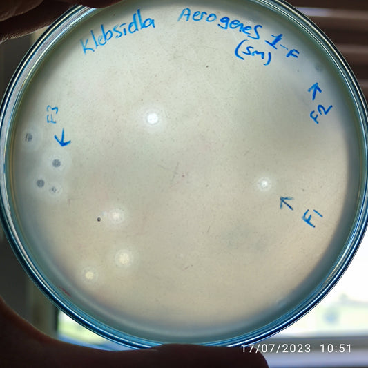 Klebsiella aerogenes bacteriophage 188001F