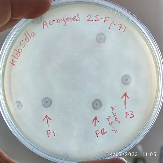 Klebsiella aerogenes bacteriophage 188025F