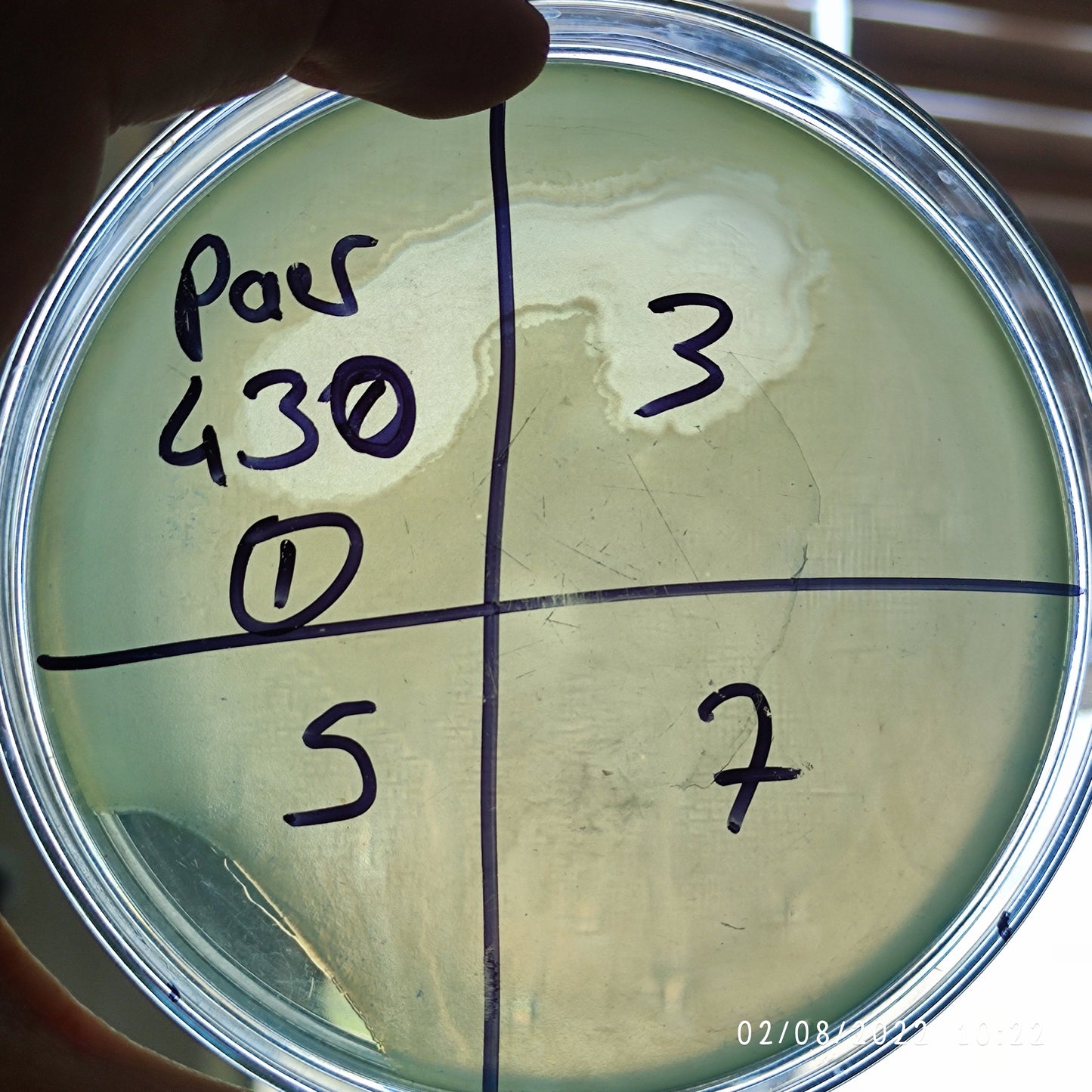 Pseudomonas aeruginosa bacteriophage 130430F