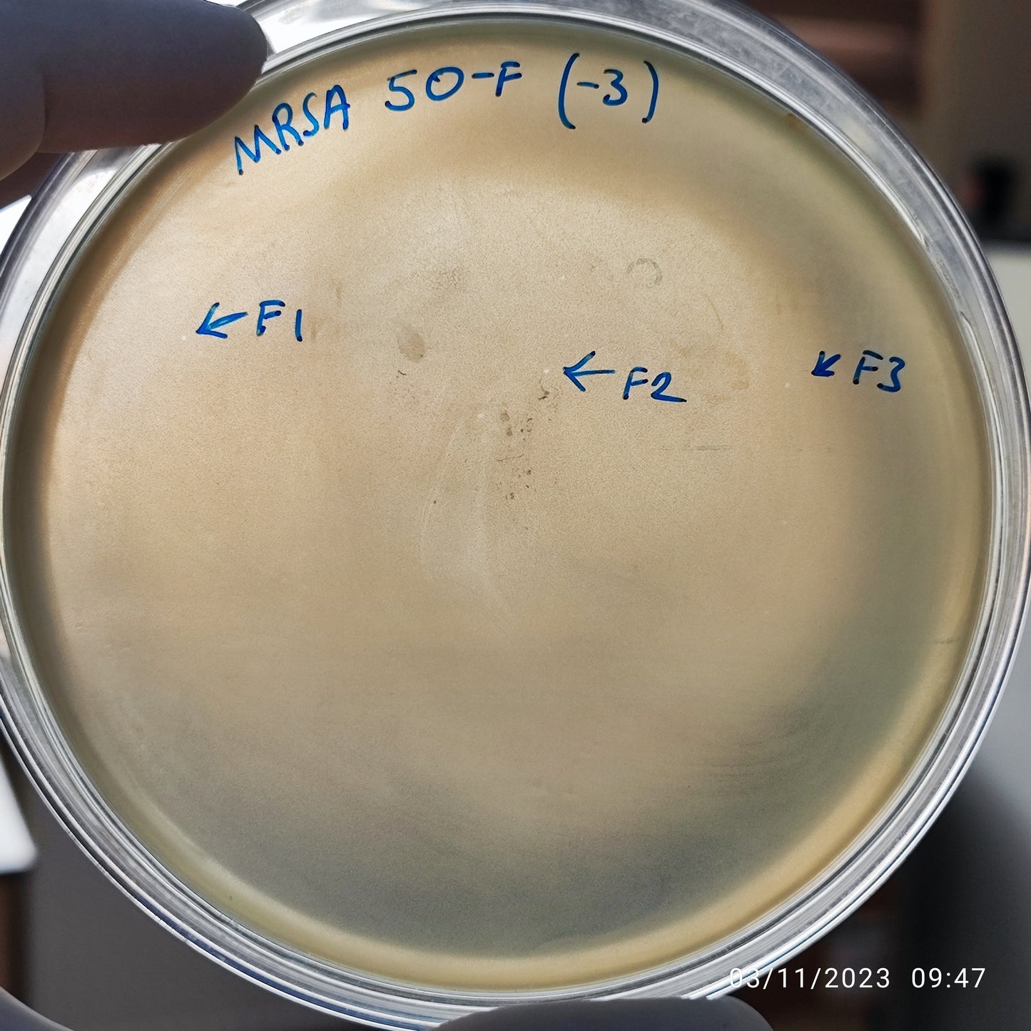Staphylococcus aureus bacteriophage 150050F
