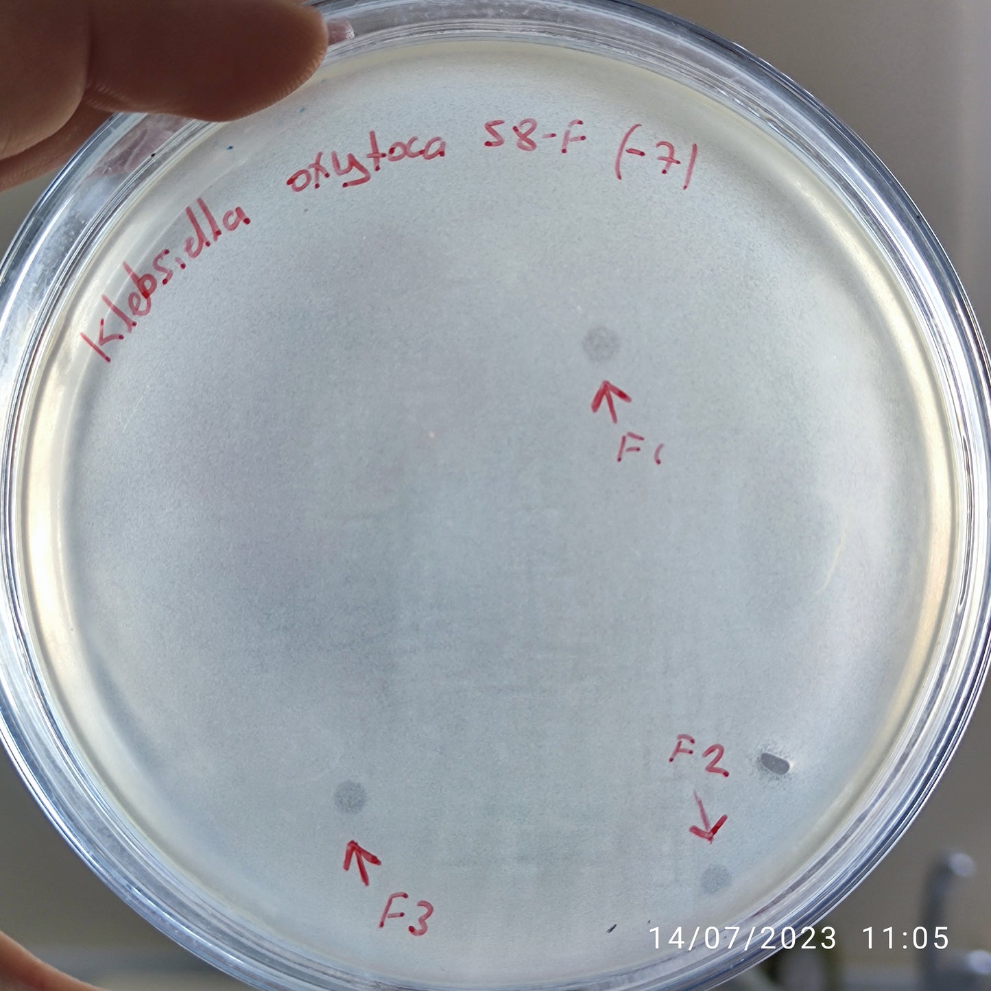 Klebsiella oxytoca bacteriophage 188058F