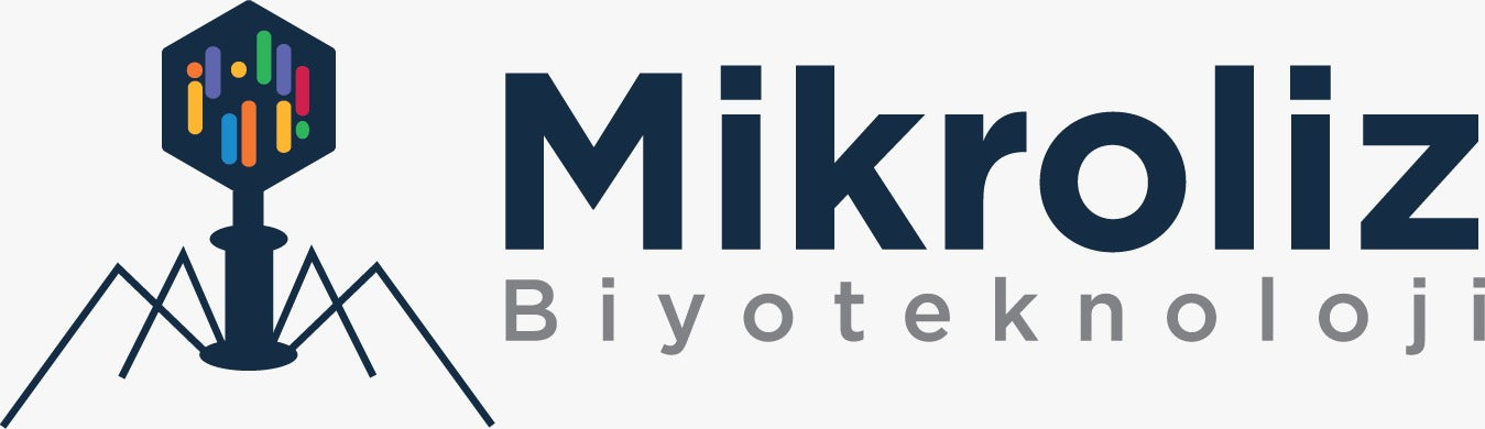 Mikroliz