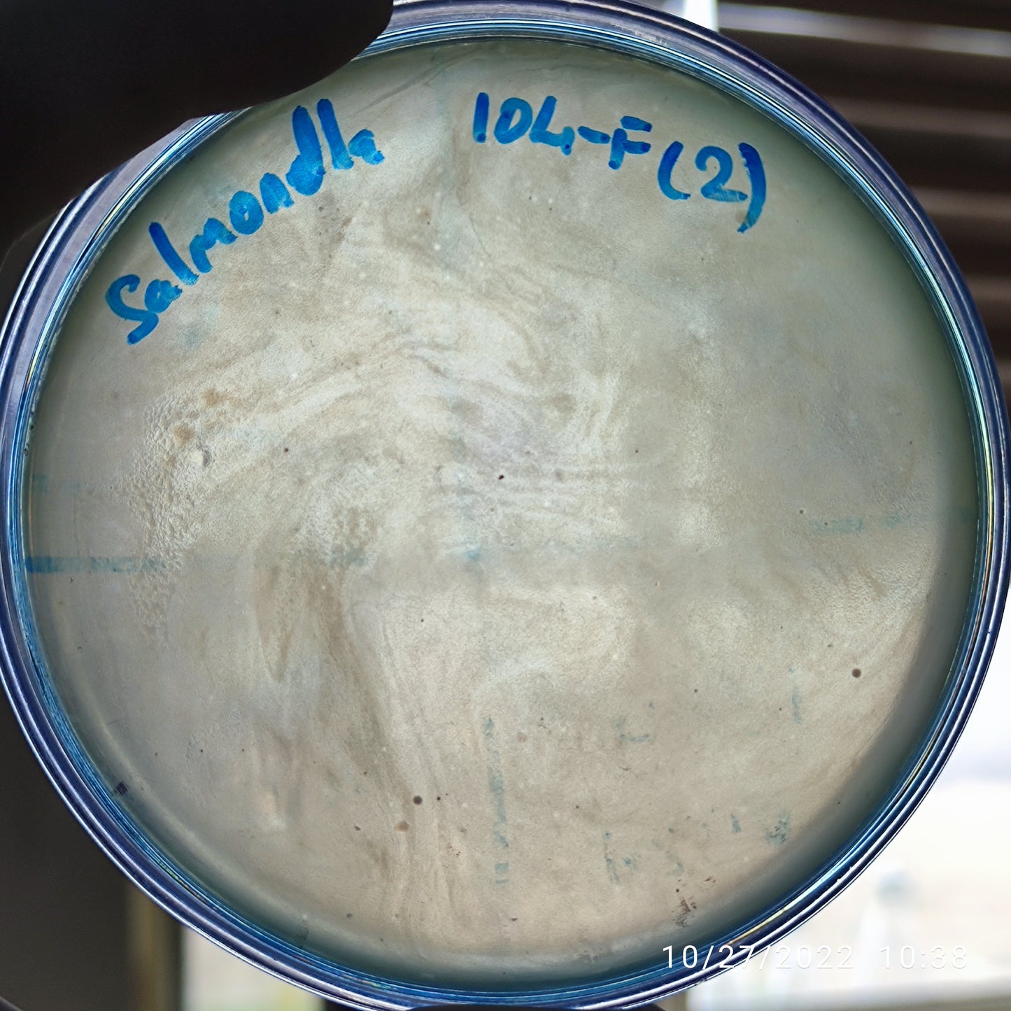 Salmonella bacteriophage 200104F