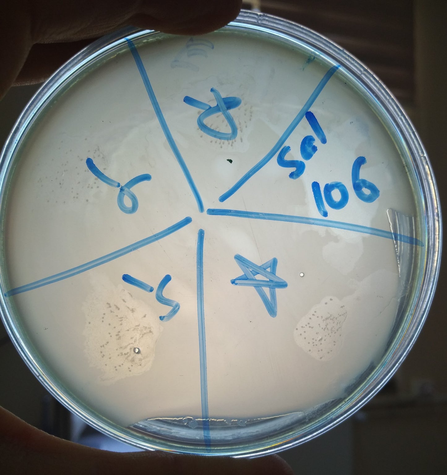 Salmonella bacteriophage 200106A
