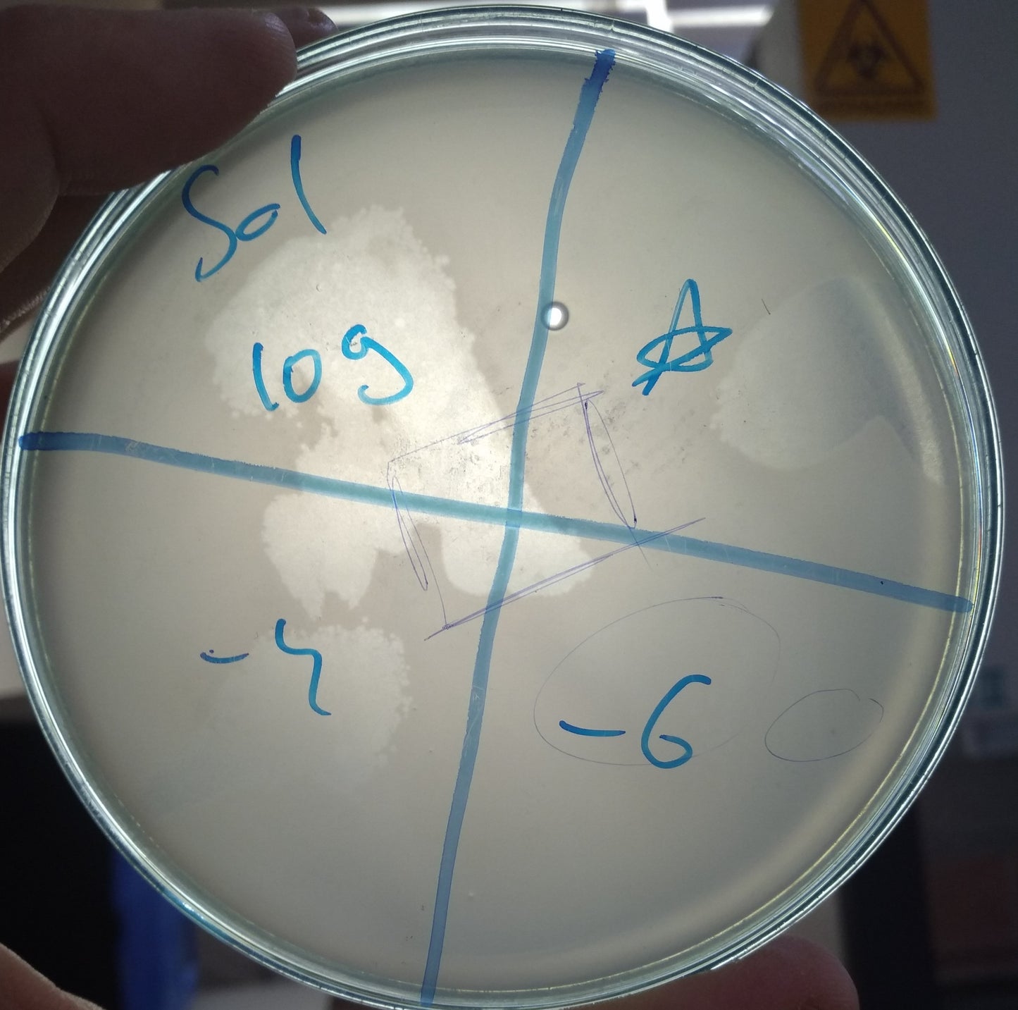 Salmonella bacteriophage 200109A