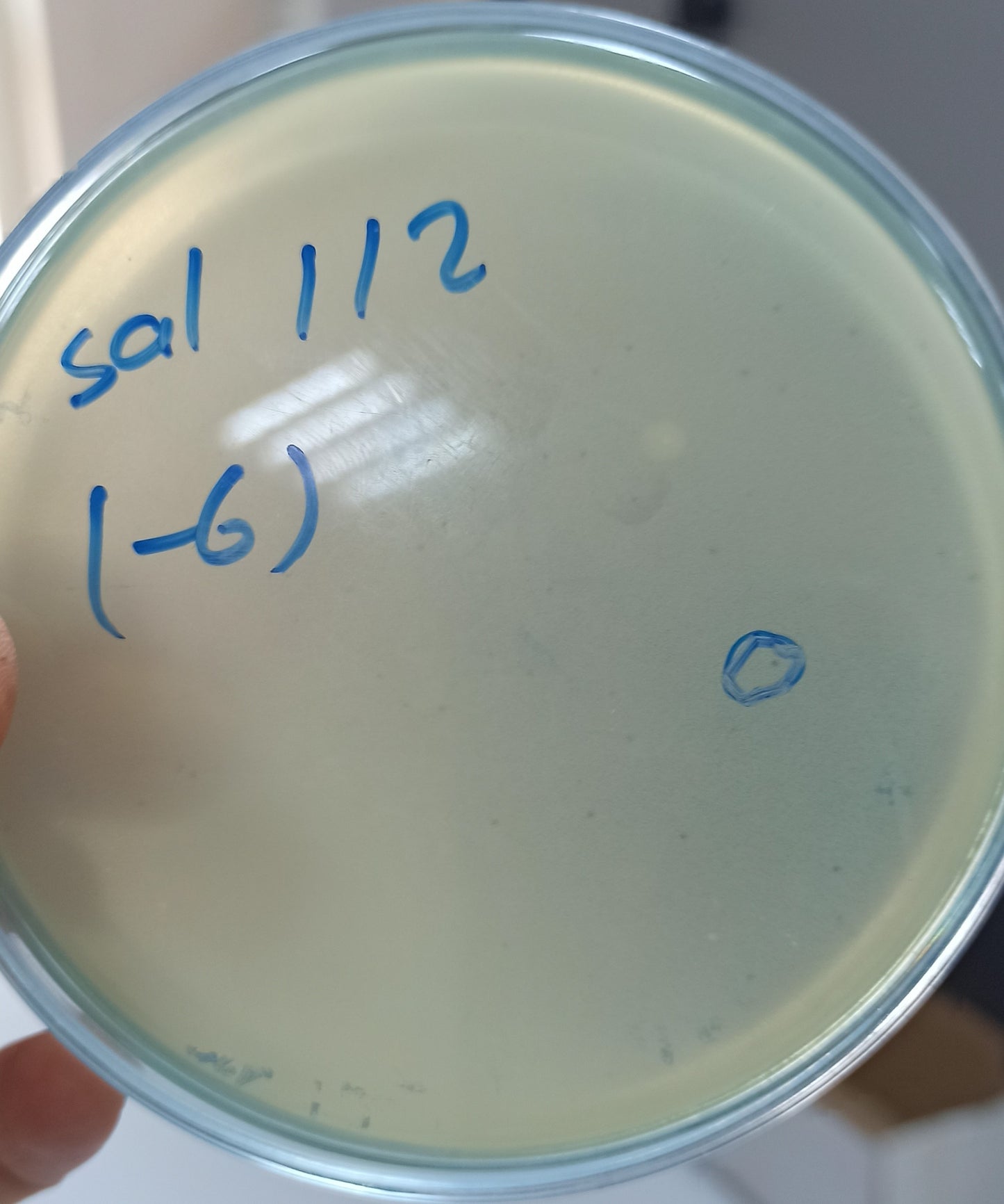 Salmonella bacteriophage 200112A