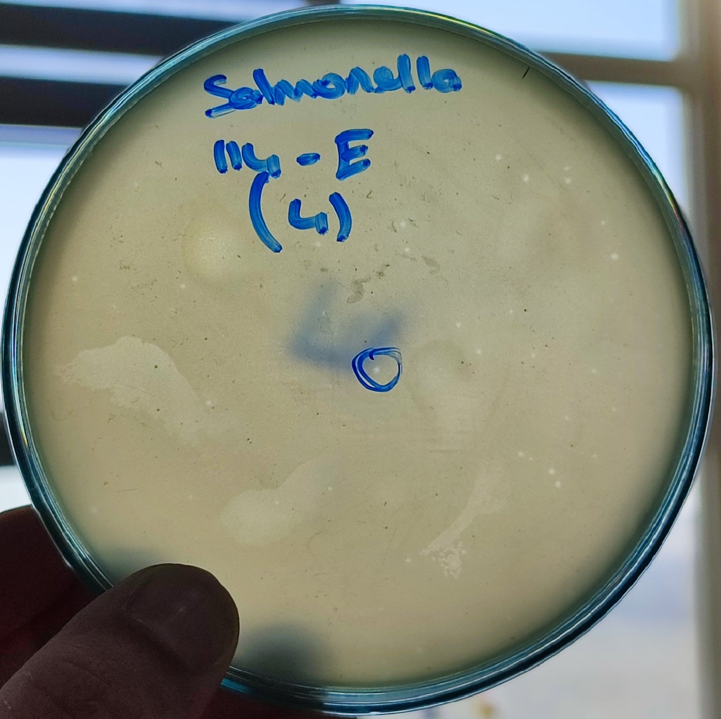 Salmonella bacteriophage 200114E