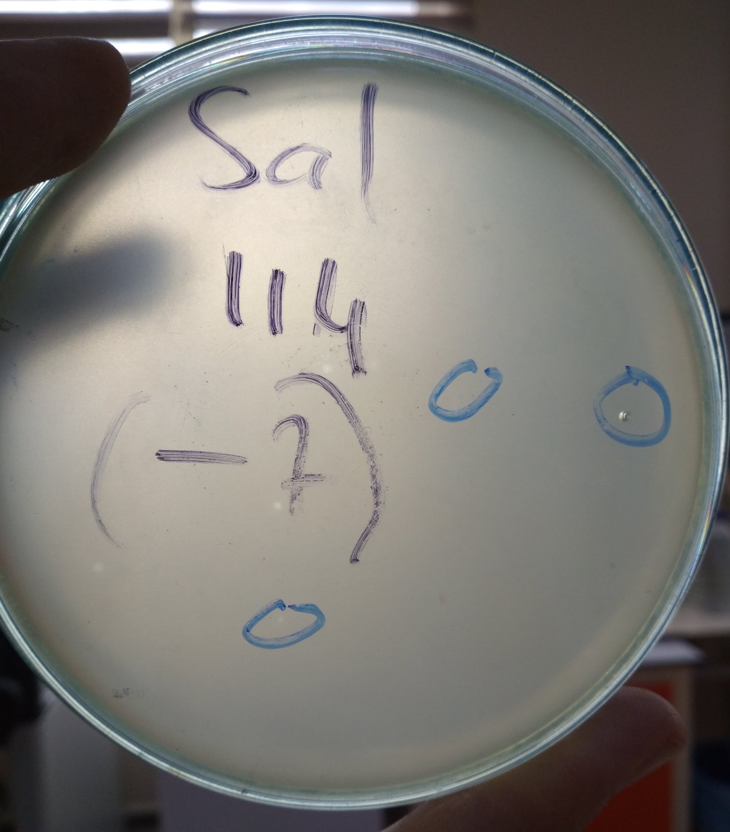 Salmonella bacteriophage 200114A