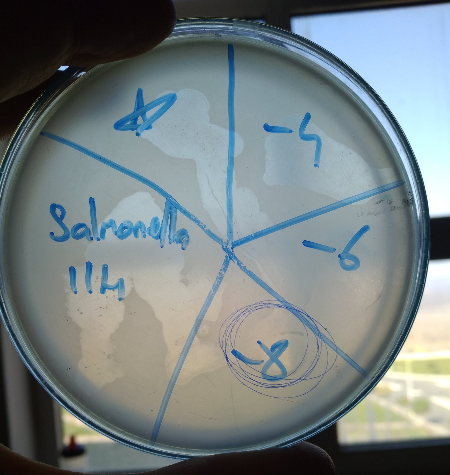 Salmonella bacteriophage 200114A