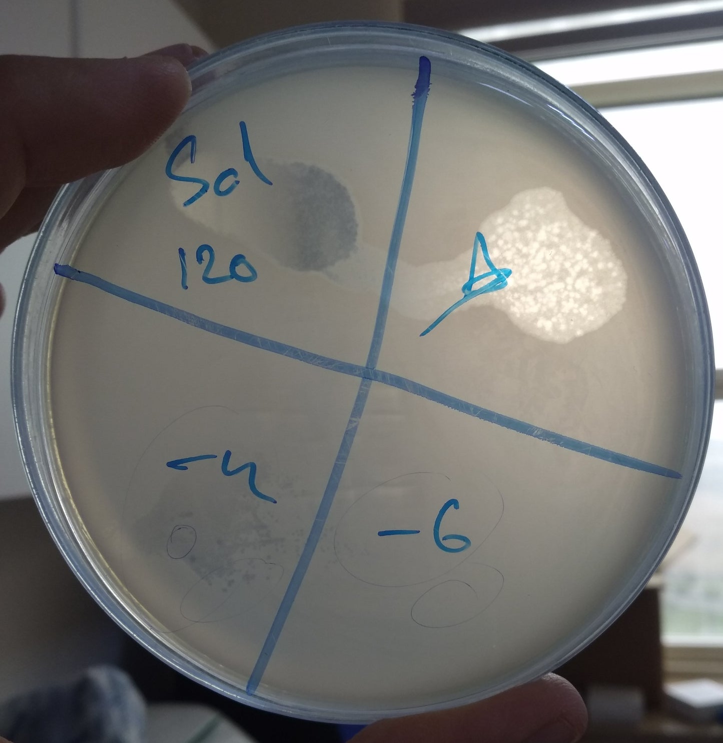 Salmonella bacteriophage 200120A