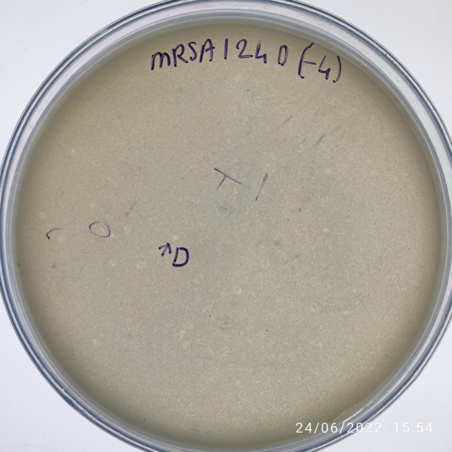 Staphylococcus aureus bacteriophage 150124D