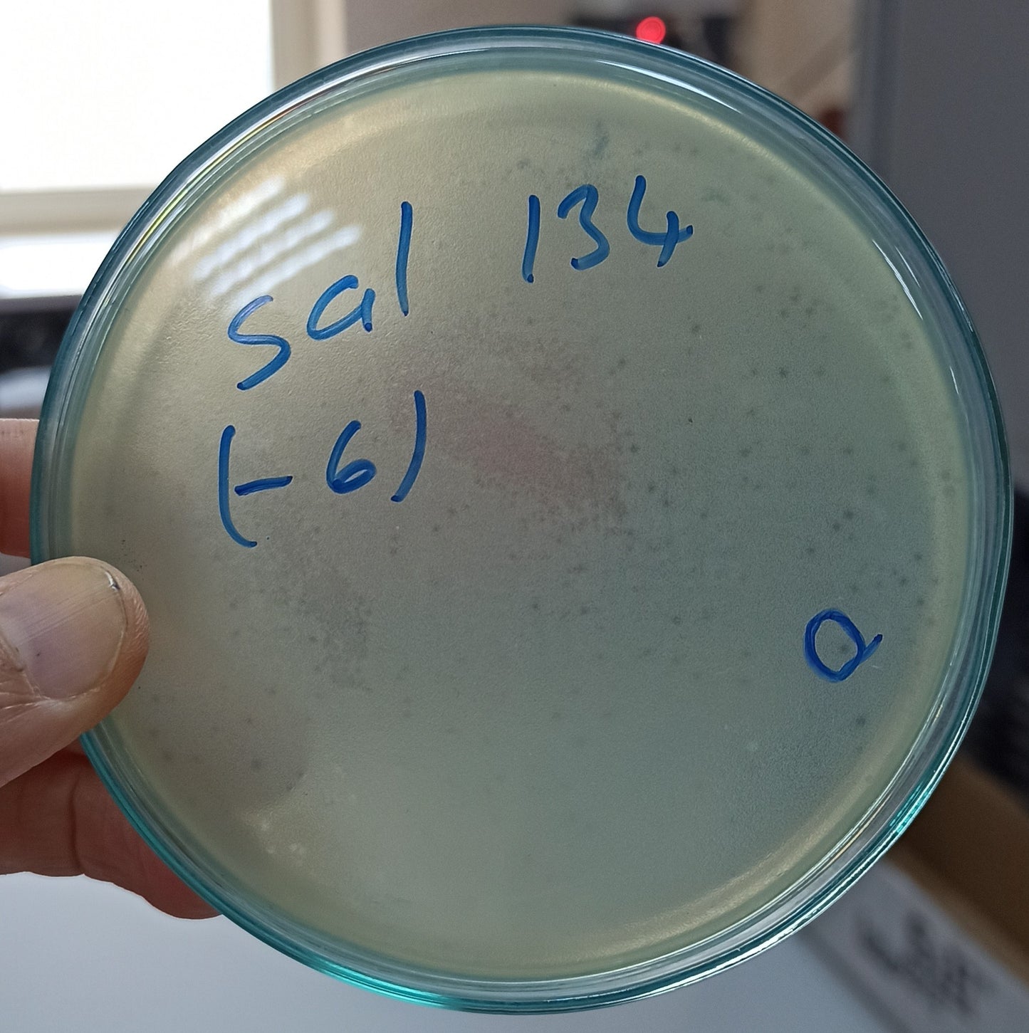 Salmonella bacteriophage 200134A