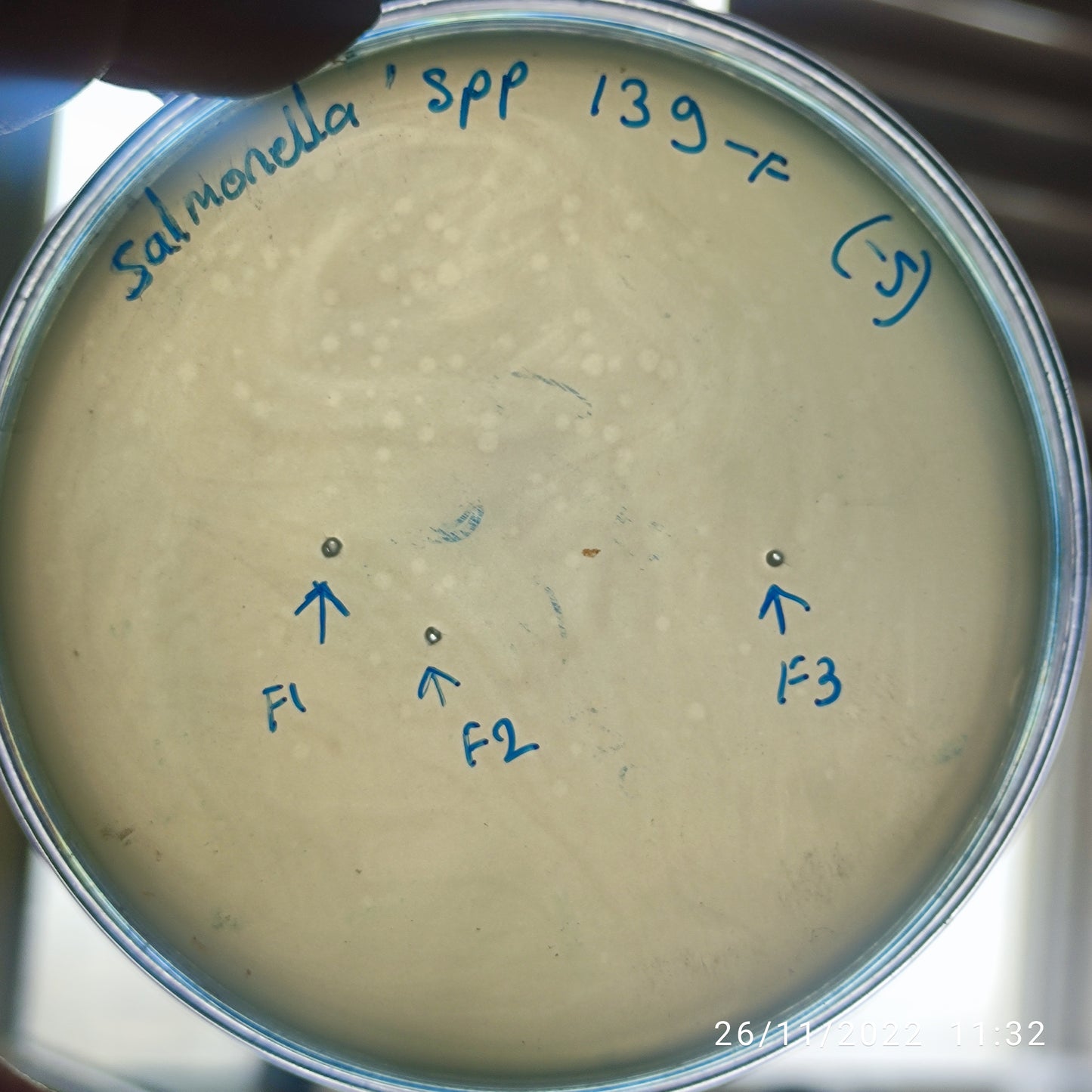 Salmonella bacteriophage 200139F