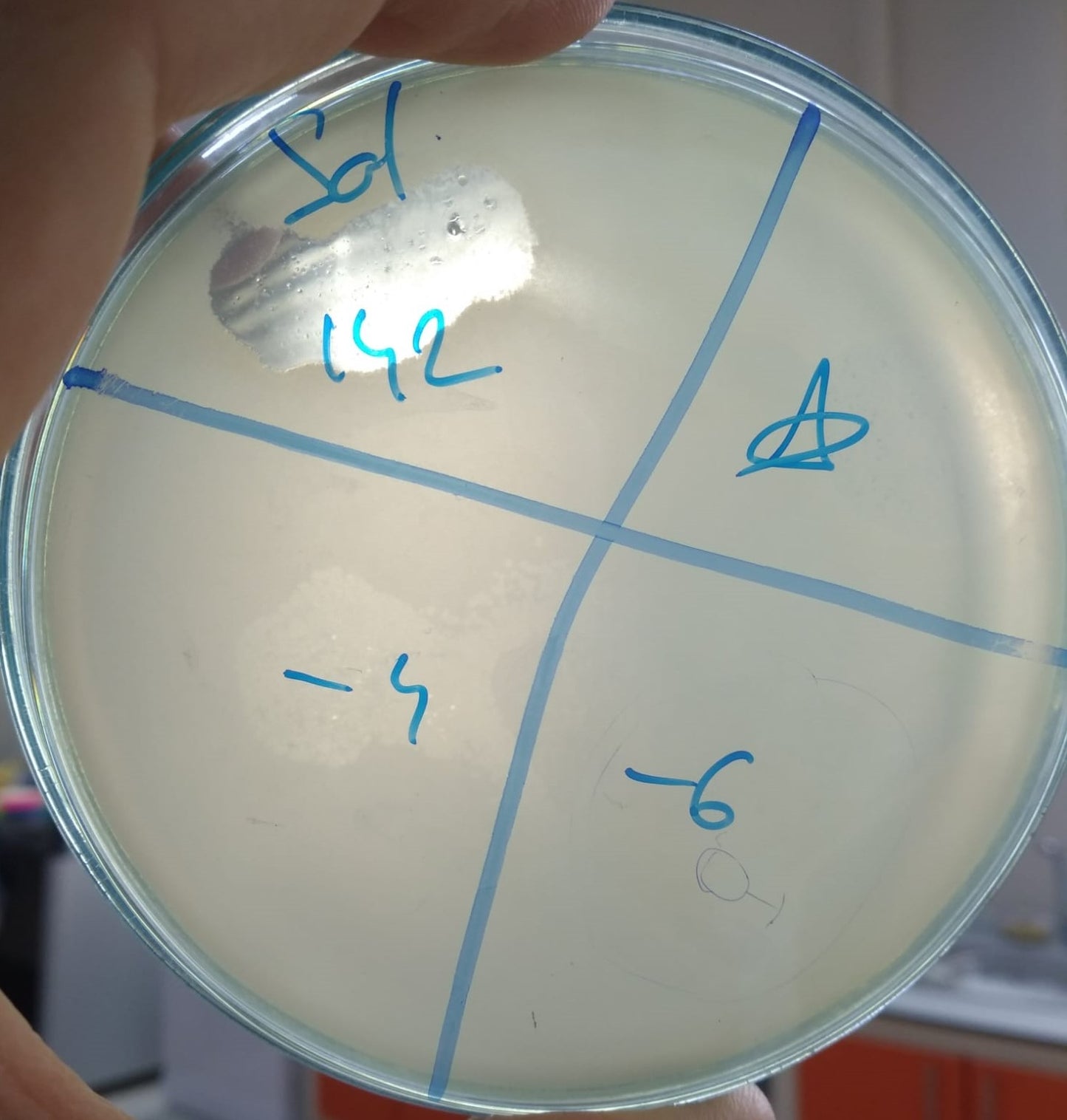 Salmonella bacteriophage 200142A