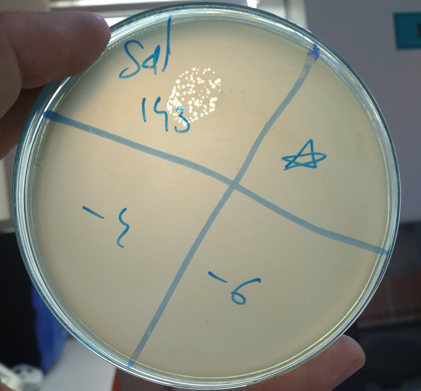 Salmonella bacteriophage 200143A