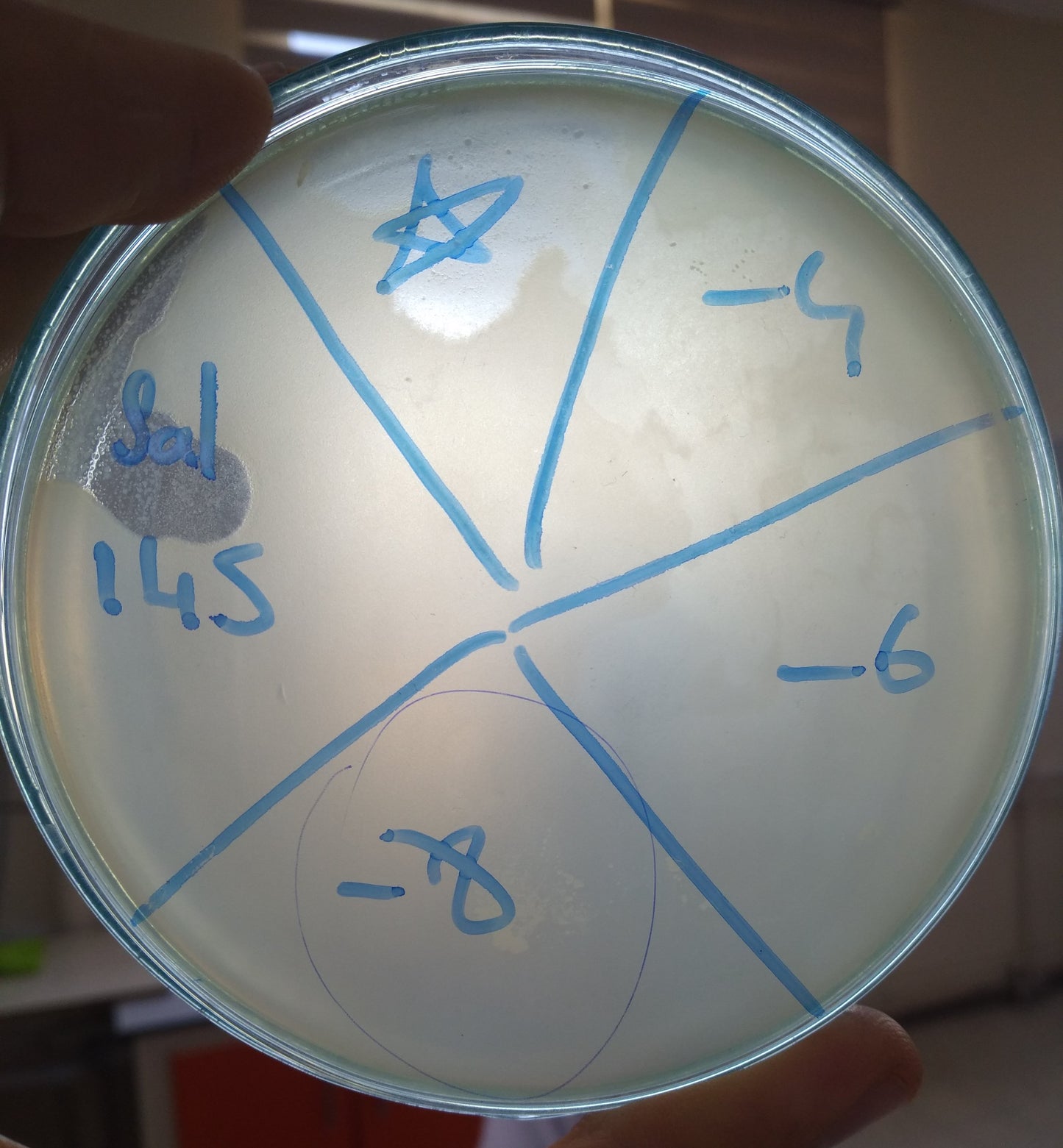 Salmonella bacteriophage 200145A