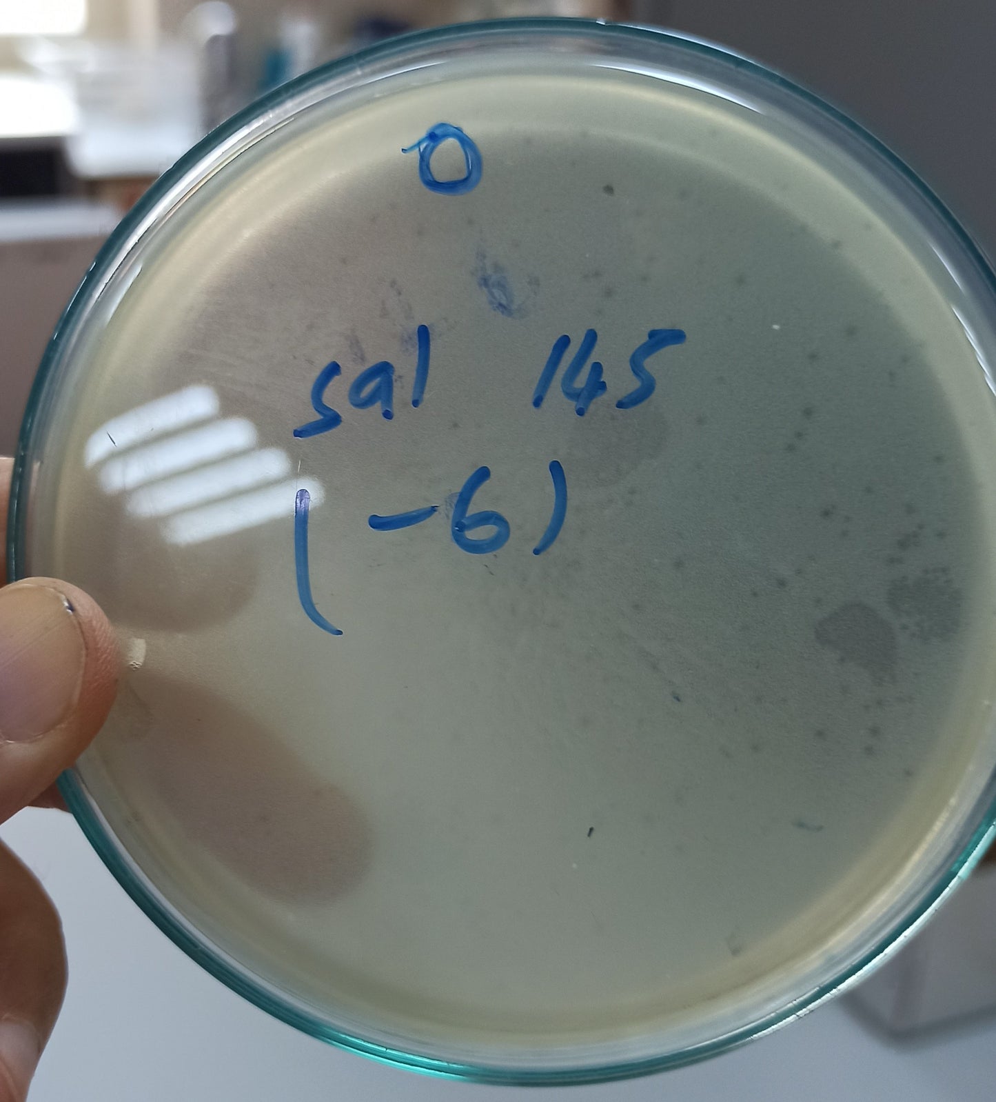 Salmonella bacteriophage 200145A