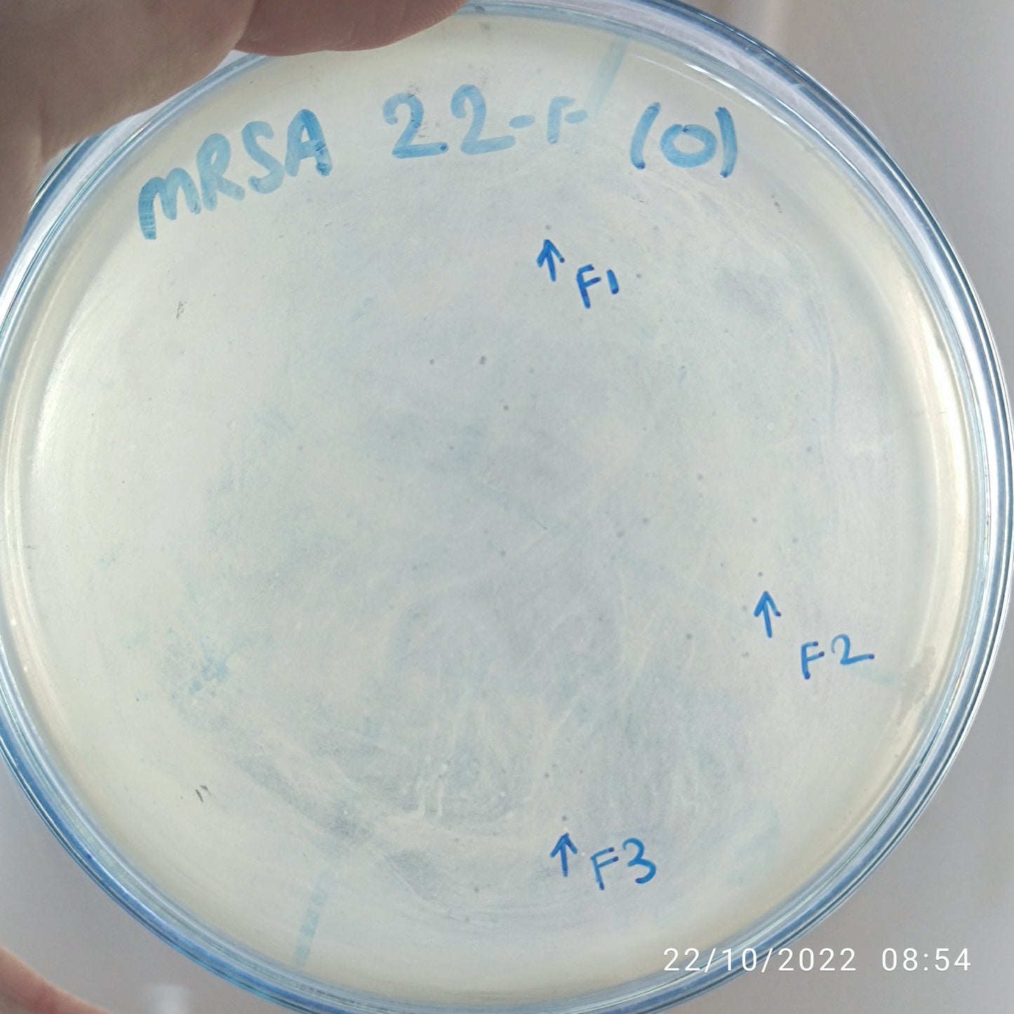 Staphylococcus aureus bacteriophage 150022F