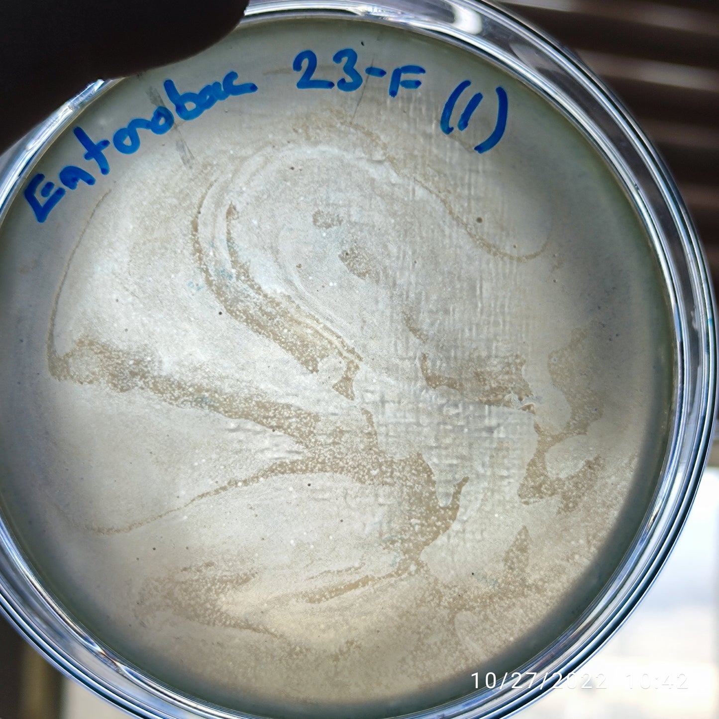 Enterobacter cloacae bacteriophage 200023F