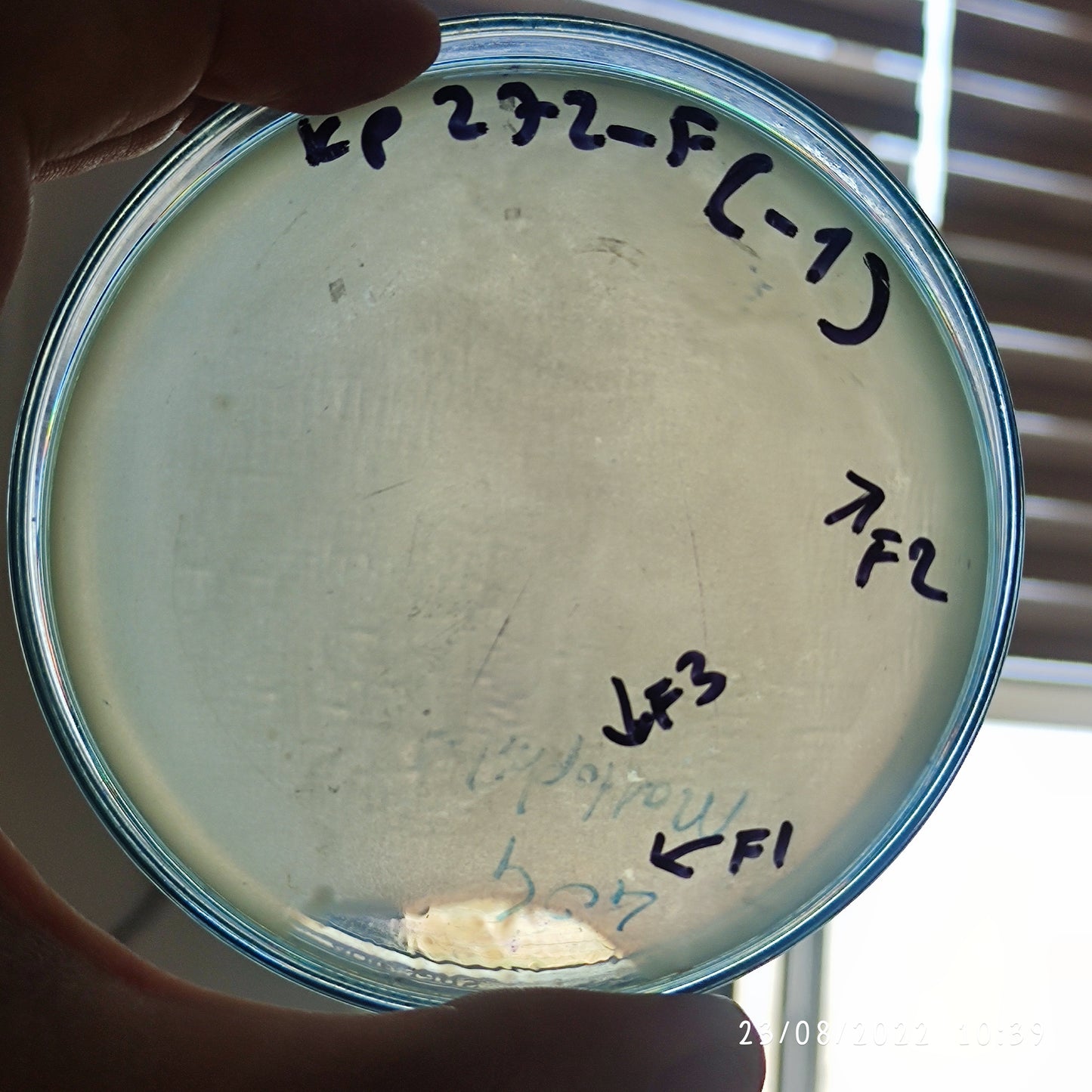 Klebsiella pneumoniae bacteriophage 180272F