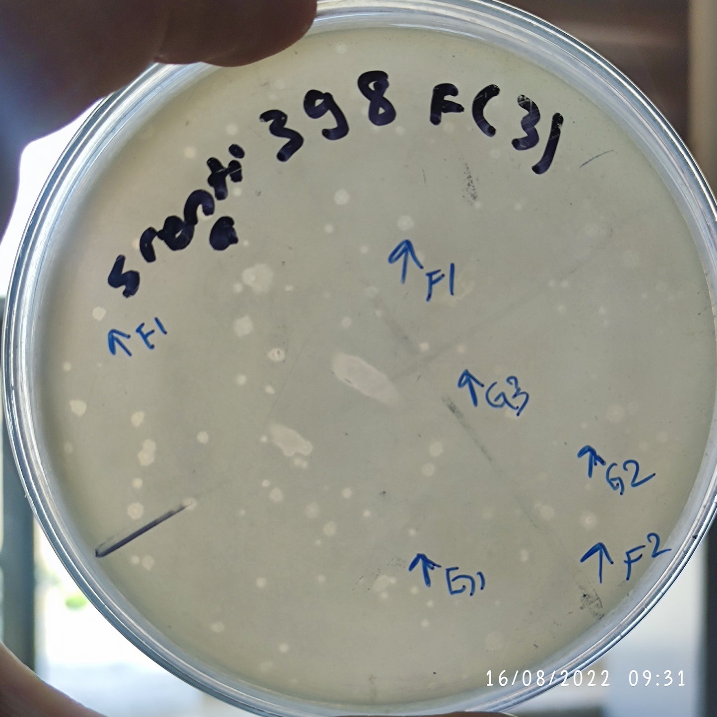Salmonella enterica bacteriophage 200398G