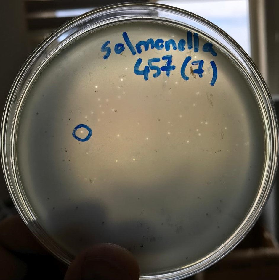 Salmonella bacteriophage 200457D
