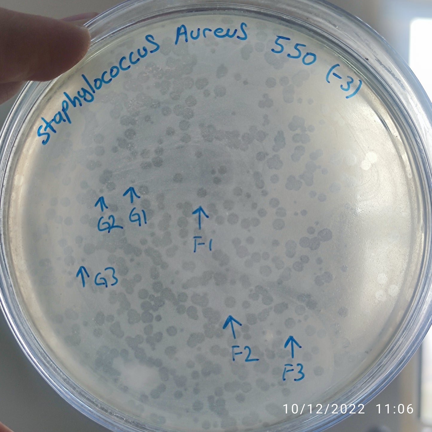 Staphylococcus aureus bacteriophage 152550F