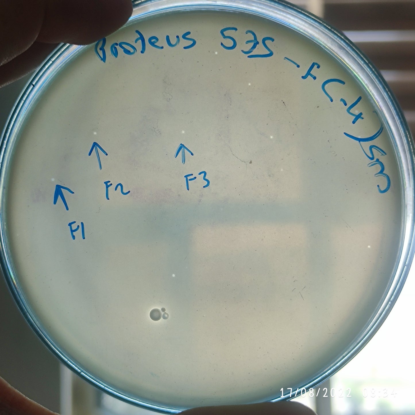 Proteus mirabilis bacteriophage 200575F