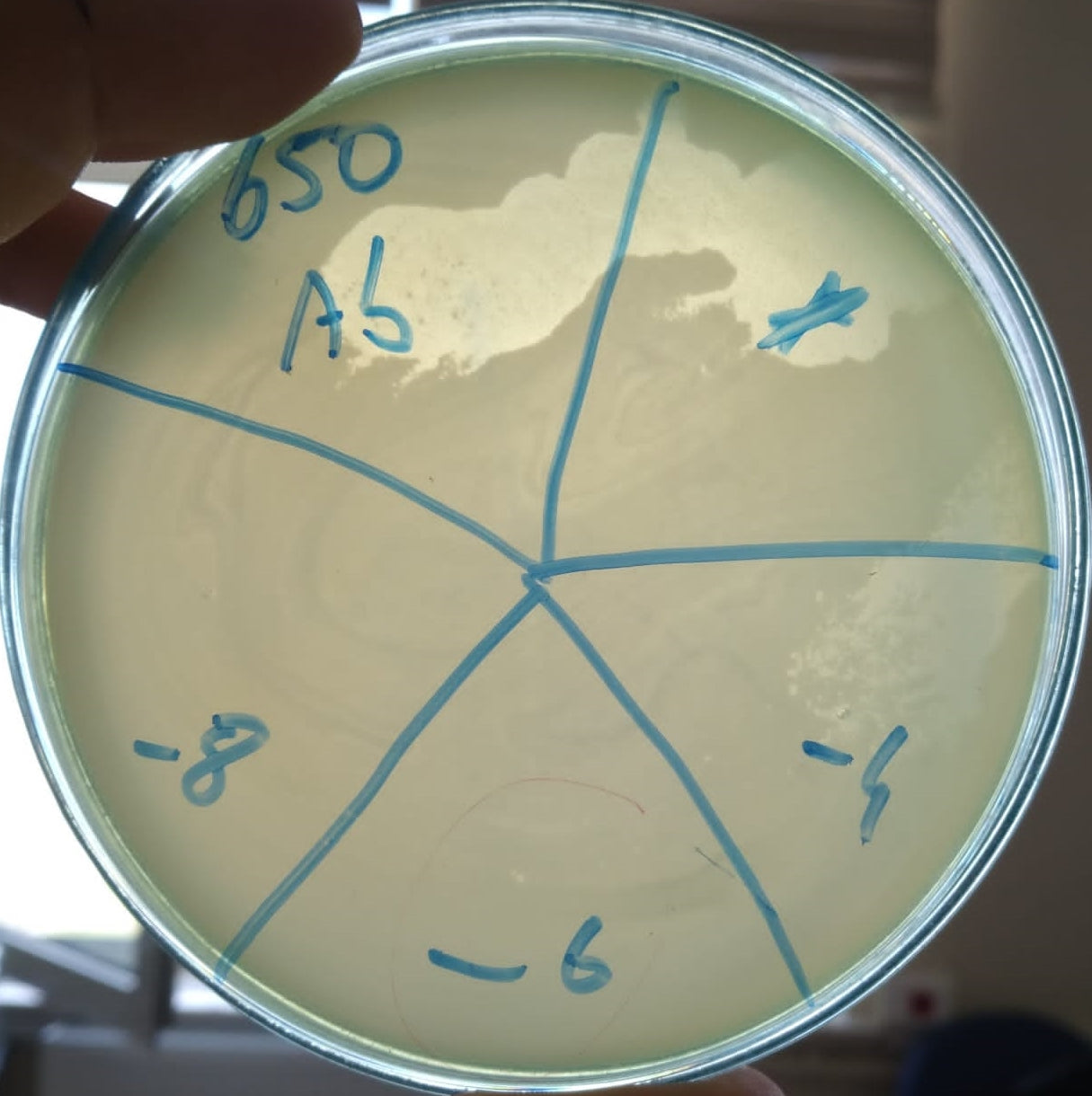 Acinetobacter baumannii bacteriophage 120650A