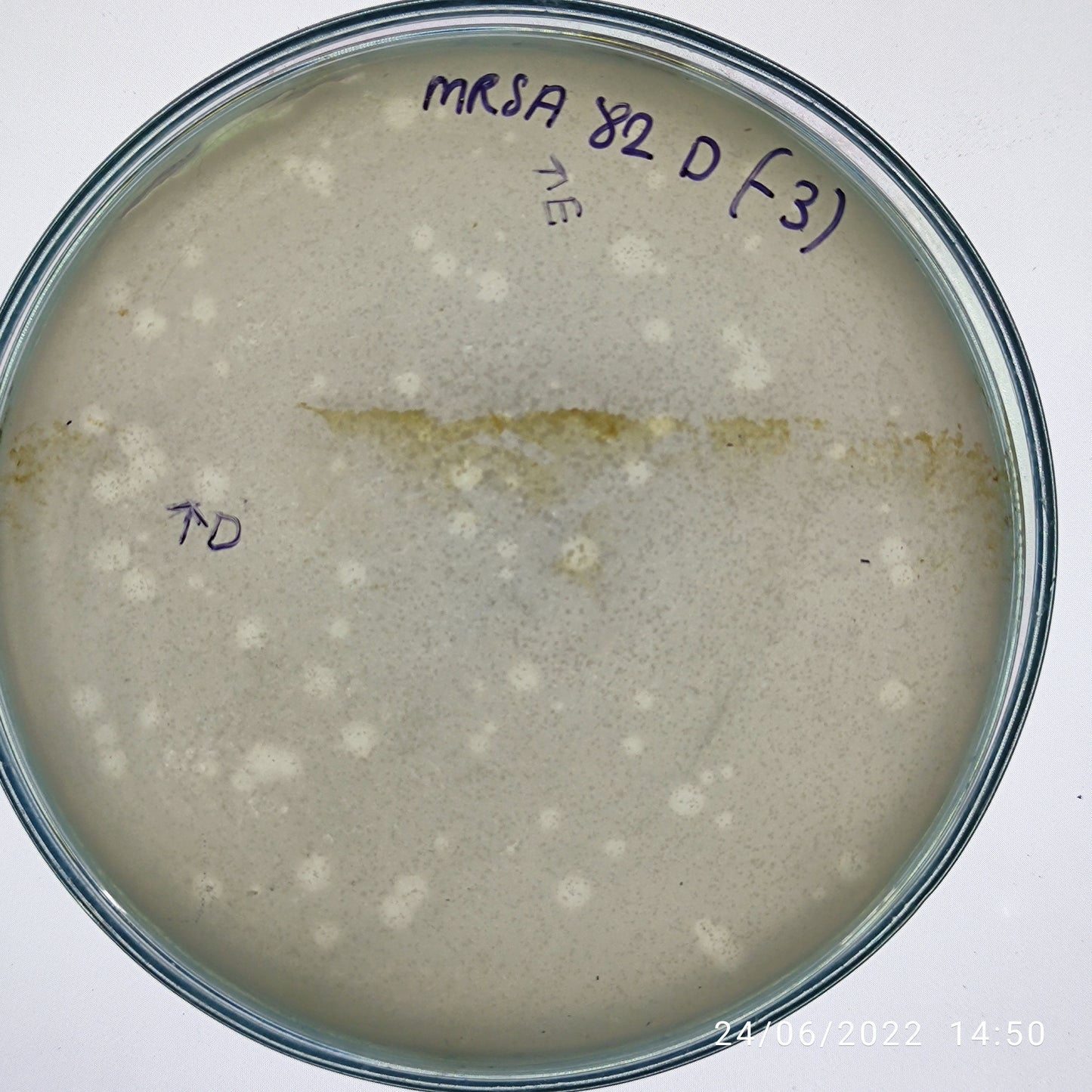 Staphylococcus aureus bacteriophage 150082E