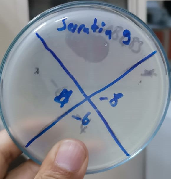 Serratia marcescens bacteriophage 200073A