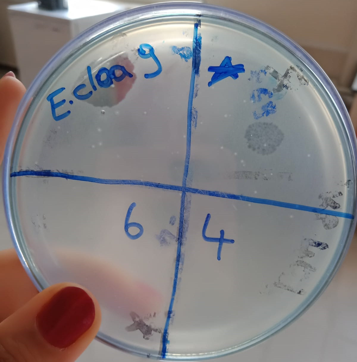 Enterobacter cloacae bacteriophage 200023A