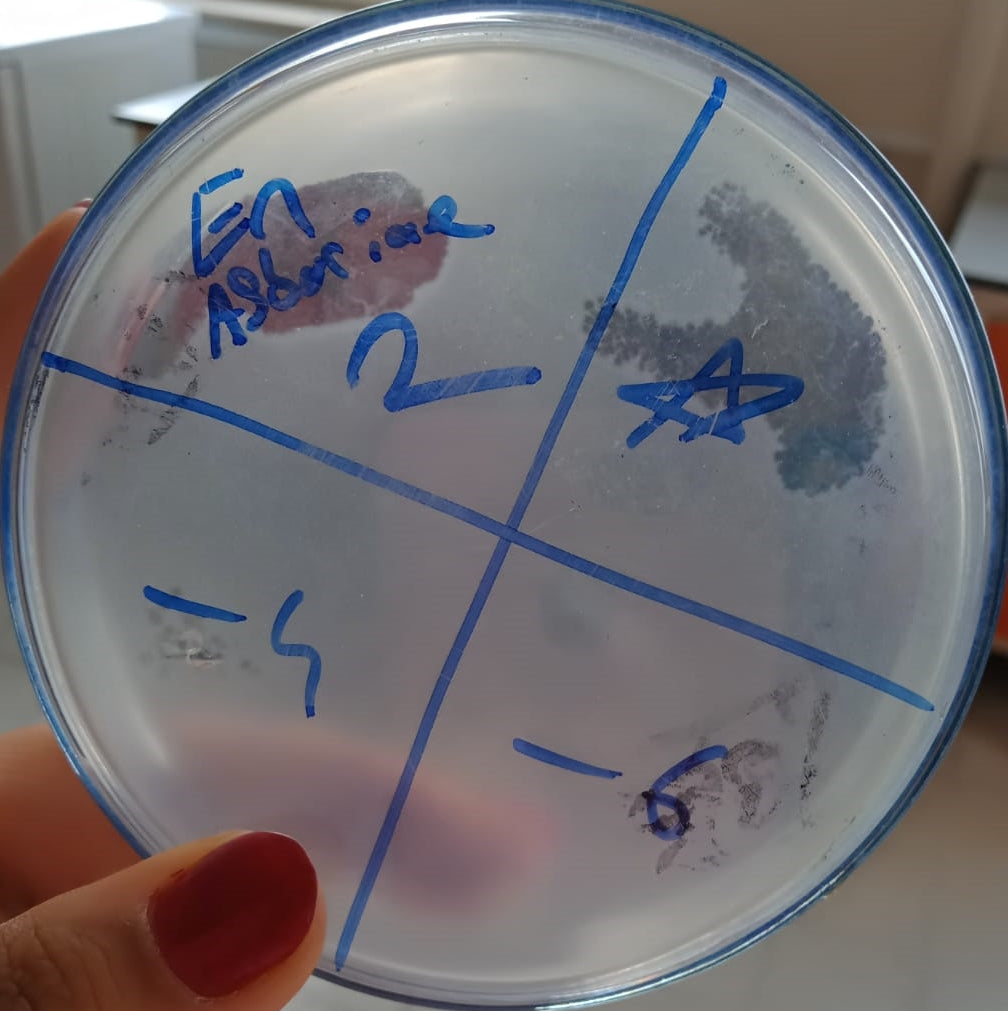 Enterobacter asburiae bacteriophage 200026A