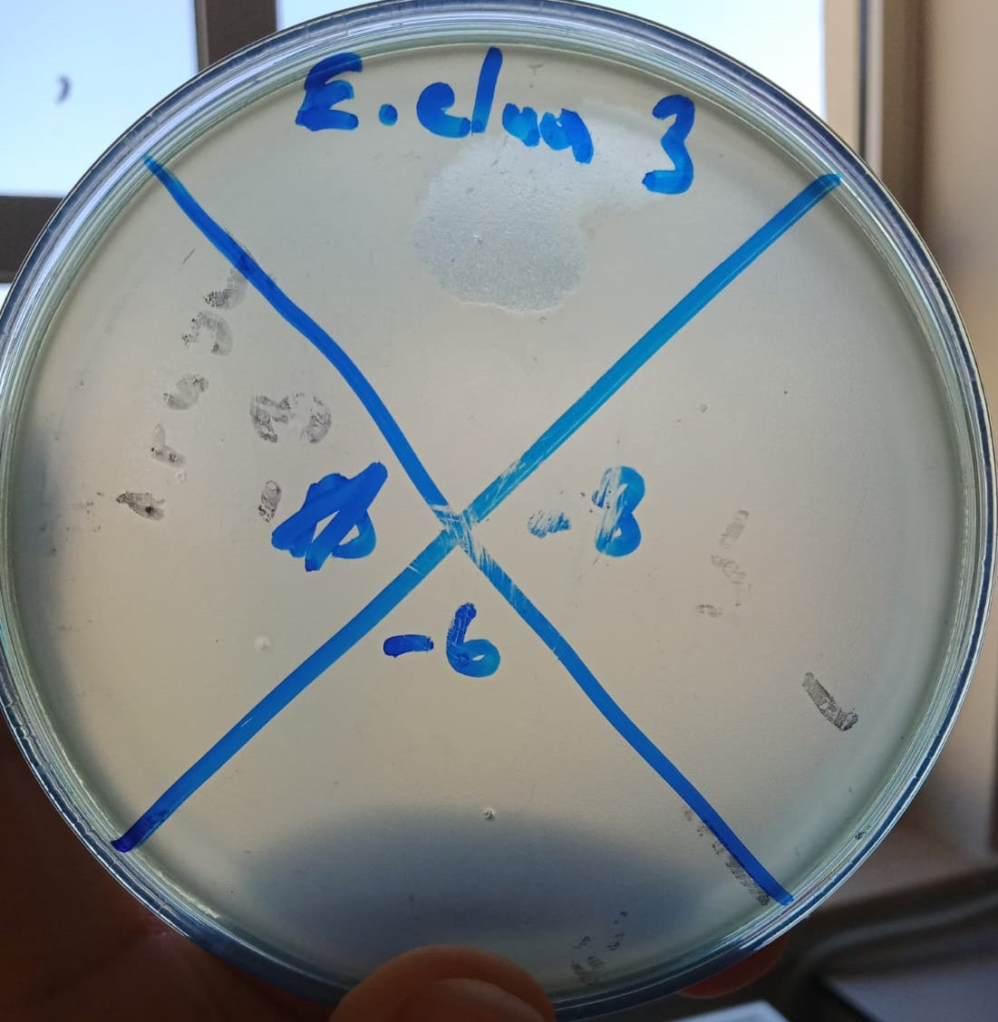 Enterobacter cloacae bacteriophage 200017A