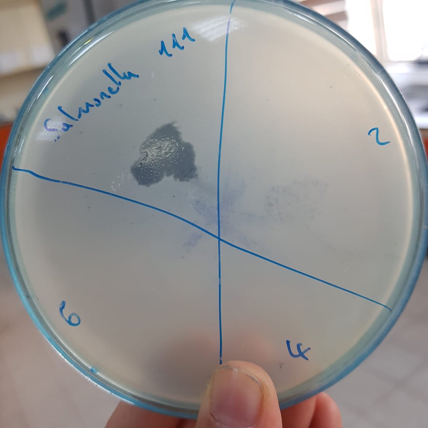 Salmonella bacteriophage 200111D