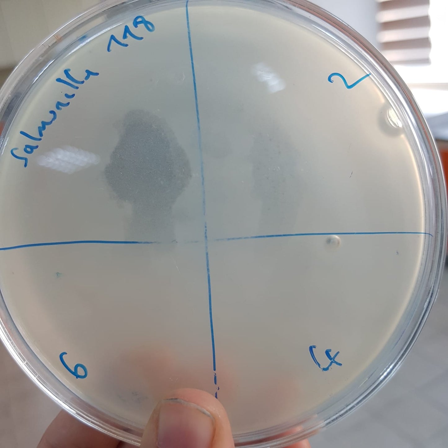 Salmonella bacteriophage 200118D