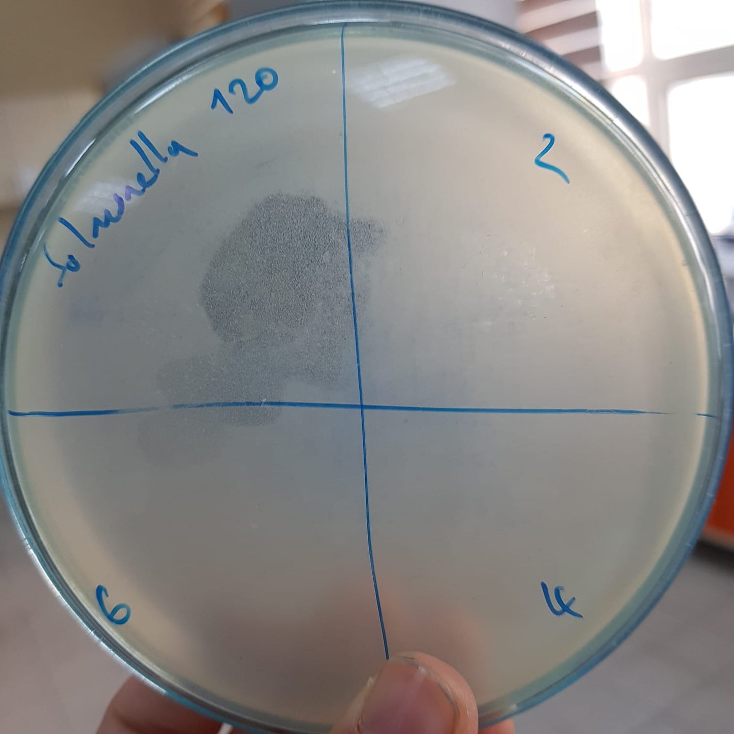 Salmonella bacteriophage 200120D