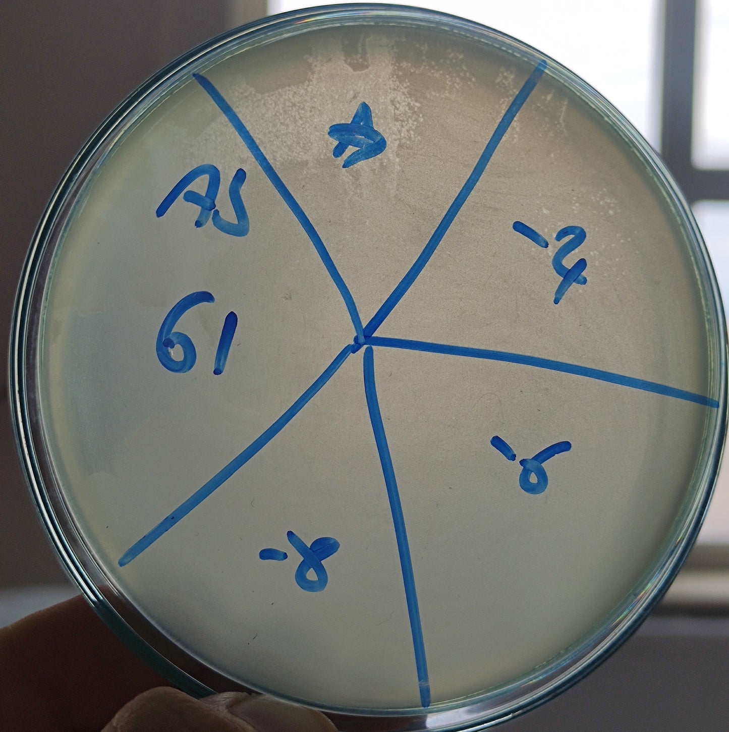 Acinetobacter baumannii bacteriophage 120061A