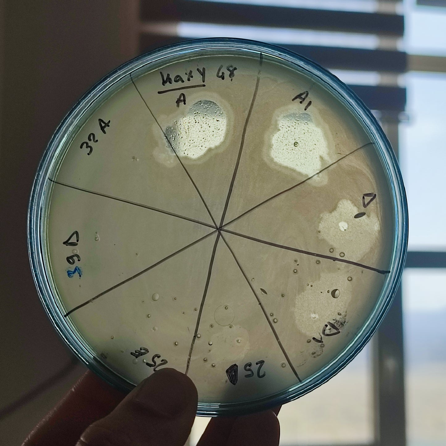 Klebsiella oxytoca bacteriophage 188048A