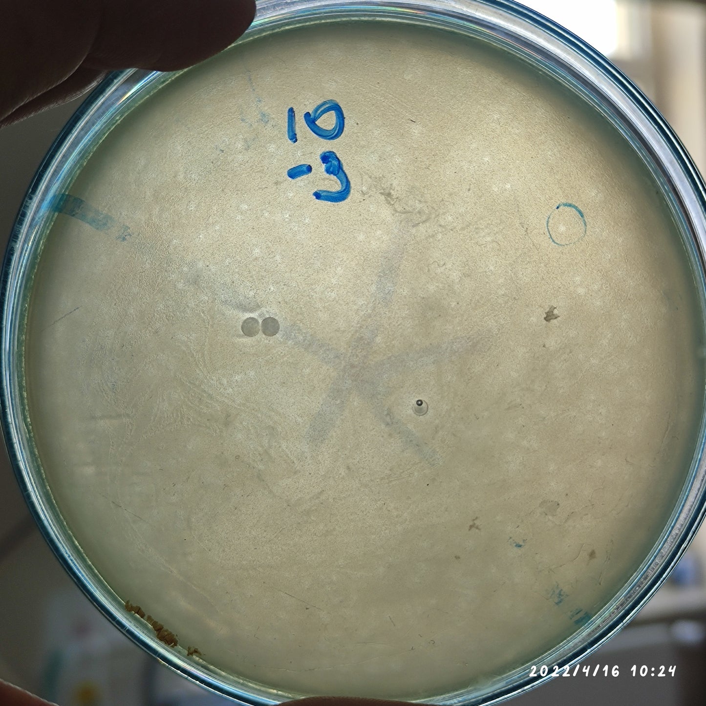 Salmonella bacteriophage 200109D