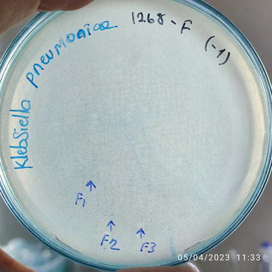 Klebsiella pneumoniae bacteriophage 181268F
