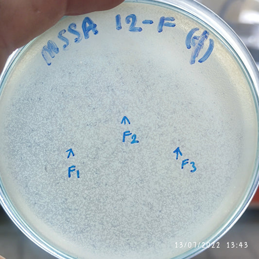 Staphylococcus aureus bacteriophage 152012F