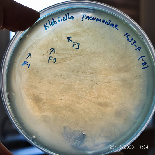 Klebsiella pneumoniae bacteriophage 181433F