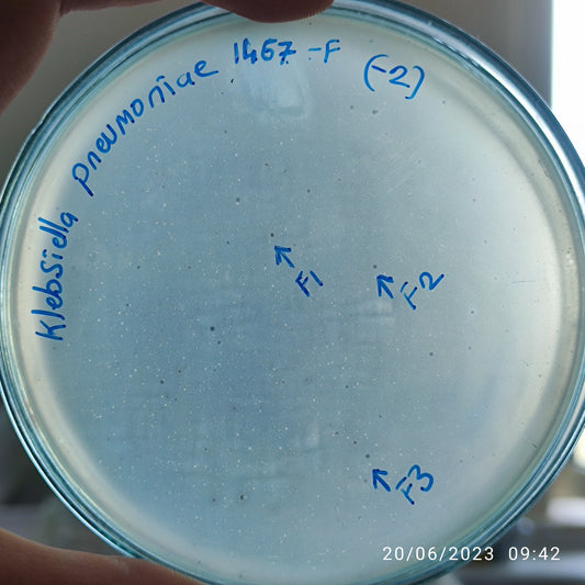 Klebsiella pneumoniae bacteriophage 181467F