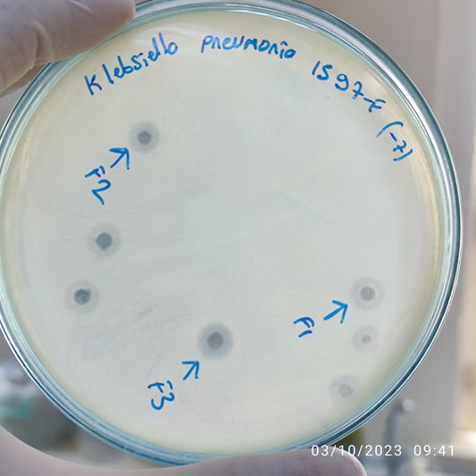 Klebsiella pneumoniae bacteriophage 181597F