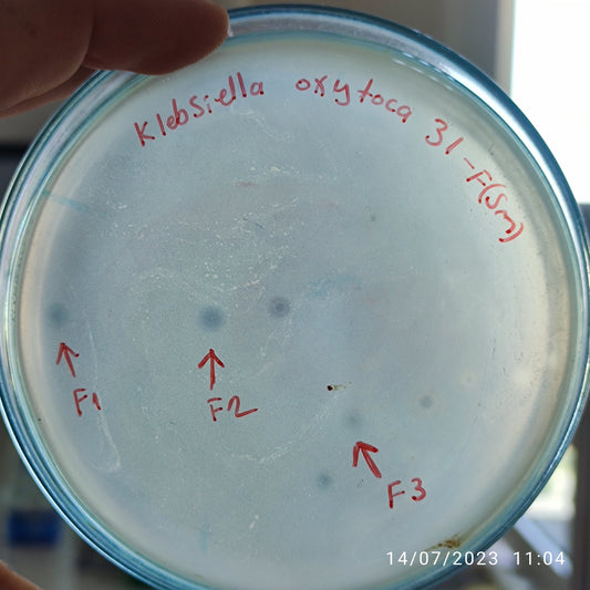 Klebsiella oxytoca bacteriophage 188031F