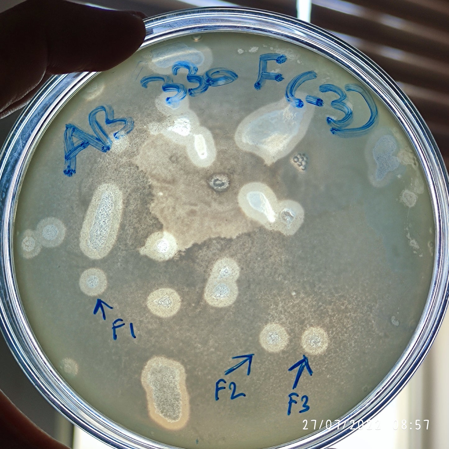 Acinetobacter baumannii bacteriophage 120330F