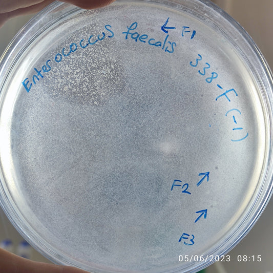 Enterococcus faecalis bacteriophage 110338F