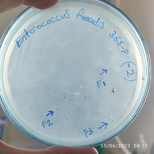 Enterococcus faecalis bacteriophage 110365F